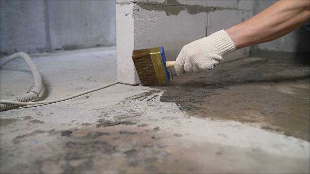 SJ Waterproofing Pros Exterior Waterproofing coverage map for Cassopolis, MI and surrounding area